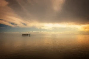 [102] Fin de faena Francisco Bernal Garrido