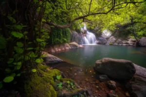 [107] Paz Oscar Martín Rodríguez