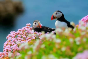 [108] Love Ana María Blanco Gómez compressed