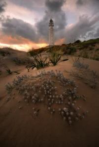 [114] Trafalgar Jose Roldan Aguilera