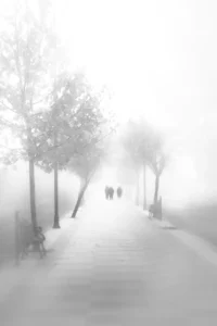 [118] Siluetas en la niebla Francisco Javier Carmona Jurado compressed