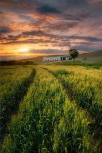 [119] Camino al sol Francisco Javier Delgado Sillero compressed