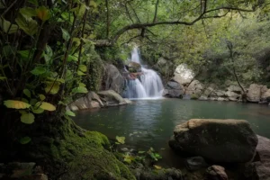 [120] Garganta del Capitán Jose Roldan Aguilera compressed