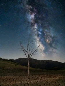[120] SOLO QUEDA EL José Miguel Aguilar Muñoz