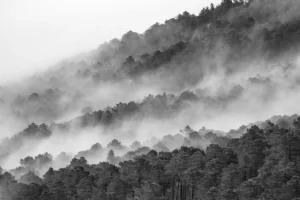 [123] un paseo entre las nubes Jesús López Moreno