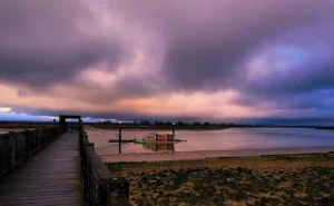 [126] Un atardecer en los Toruños ANTONIO MATA CUEVAS