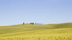 [127] La Toscana Concepción García compressed