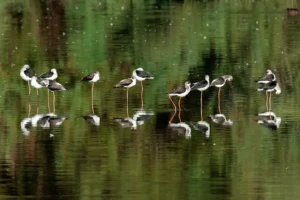[128] Espera Juan Francisco Caminero Calles