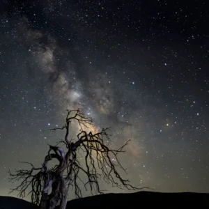 [133] Cuando se apaga la luz Francisco Pérez González