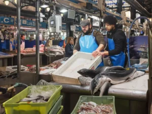 [139] Enseñando Carmelo Pariza compressed