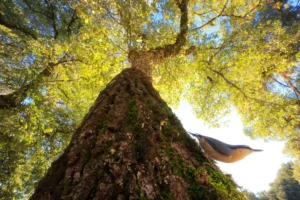 [146] Perspectiva Andrés Luis Domínguez Blanco compressed