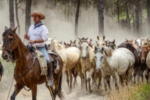 [149] Miradas María del Mar Ortega Jiménez compressed