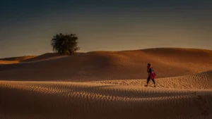 [151] El camino de la esperanza Fekete Attila