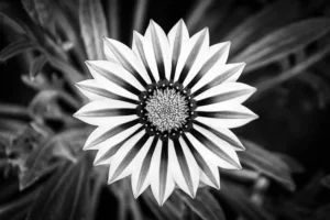 [154] Marga Mónica Aguilar Casanueva