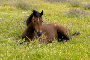 [161] Disfrutando Francisco Javier Cabrera Santiago