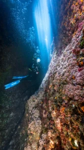 [169] Sun rays underwater Luis Alberto Rodriguez Aragones compressed