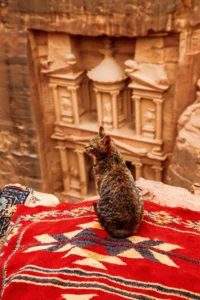 [170] Petra Jairo Torres Hurtado