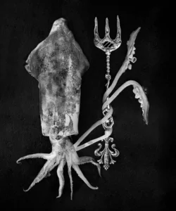 [172] Neptuno Mercedes Higuero Bisbe compressed