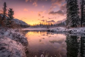 [174] Alberta VII Jose Quero