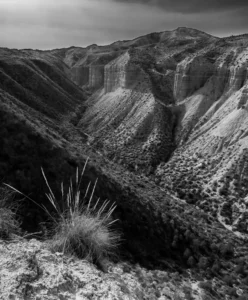 [175] GORAFE Mario Navas carneros compressed