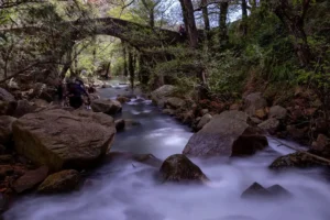 [176] Puente Romano Isabel Rondón Caballero compressed