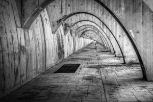 [181] Sin final Joaquín Cámara García compressed