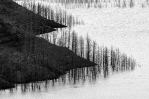 [189] Resurgir entre la sequía Pepa Morente Barrera compressed