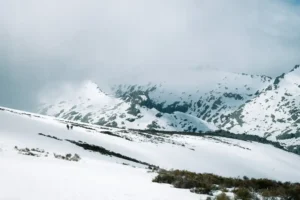 [191] Estamos de paso Guillermo Fernández