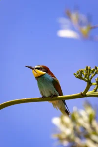 [194] Aquí aburrido Josè Lozano