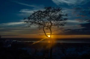 [197] Ocaso desde El Conquero José Luis Alillo Ceada