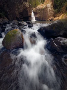[198] Cola de caballo Francisco Bernal Garrido compressed