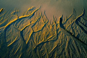 [198] EL BOSQUE EN LLAMAS Carmelo Zabal