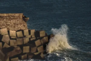 [200] Soledad, la mar inmensa Fekete Attila compressed