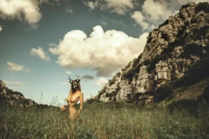 [207] Fantasias Jose Antonio Roman Andrades