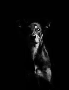 [209] Bruno Beatriz Roman Moya