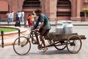 [214] Lechero Hindú María Salud Varela Alcocer compressed