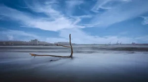 [215] Sola JUAN JIMENEZ