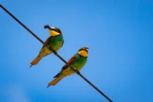 [223] Me lo cambias Josè Lozano compressed