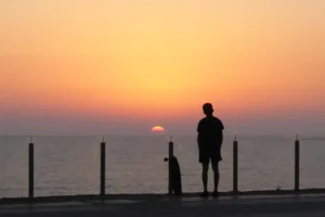 [224] Una parada para ver el espectáculo RAFAEL ANGEL MELERO RODRIGUEZ