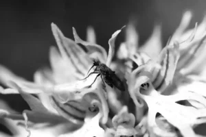 [227] Naturaleza María Dolores González Quirantes