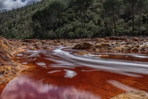 [229] Río Tinto Jesús M González Domínguez