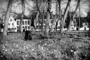 [238] Beguinario de Brujas DANIEL VILLARTE SANTOS compressed