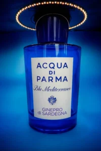 [238] Untitled Laura Torres amat