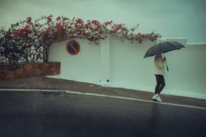 [239] Sin Rumbo alfredo romero asensio