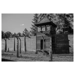[240] Auschwitz Birkenau Ana Notario Torres compressed