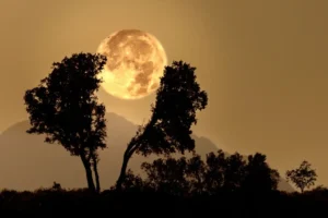 [243] El poderoso influjo de la luna Salvador Rivas Gálvez