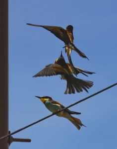 [244] Es miaaa María de gracia Díaz Fernández