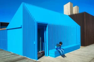 [251] La casita azul Francisco Javier Fernández Gómez