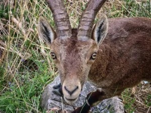 [255] Cara a cara Pedro González Conejero