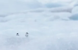 [255] Dos puntos de vida MARIA ELENA MARTIN GARCÍA TREVIJANO compressed